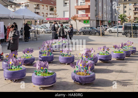 Giornata contro la violenza di genere nella città di Colindres Cantabria, Spagna, Europa. Foto Stock