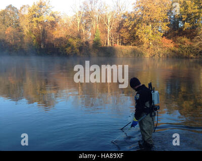 11736019165 usfwsmidwest Jason Krebill, servizio dipendente, raccoglie lampreda di mare larve sul Au Sable Fiume, Vicino Oscoda MI, alla fine di ottobre. Foto Stock