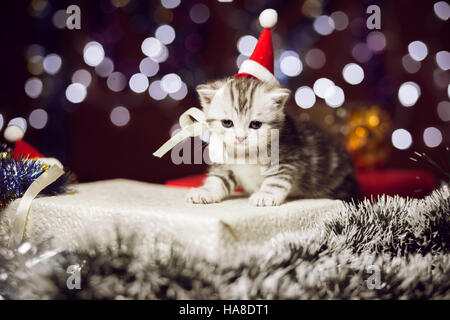 Carino gattino indossando santa hat seduti sulla confezione regalo Foto Stock