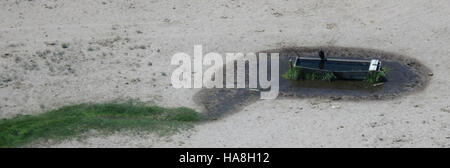 Le foto della Stone Cabin Herd Management area (HMA) in Nevada, scattate prima del raduno del 2012, si concentrano sulle popolazioni di cavalli selvatici. Le immagini contribuiscono a comprendere le pratiche di gestione della fauna selvatica nell'ovest americano e gli sforzi di conservazione per mustang. Foto Stock