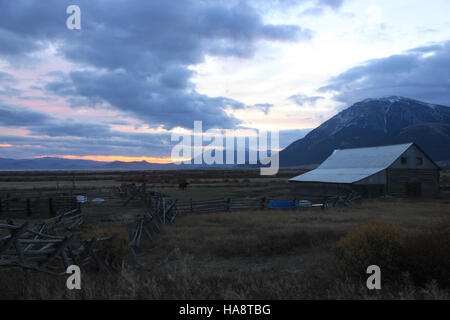 Questa immagine mostra il paesaggio autunnale del Red Rock Lakes National Wildlife Refuge, caratterizzato da vivaci vegetazioni autunnali e paludi. Il rifugio fornisce un habitat critico per gli uccelli migratori e altri animali selvatici, offrendo un ambiente sereno per gli sforzi di conservazione. Foto Stock