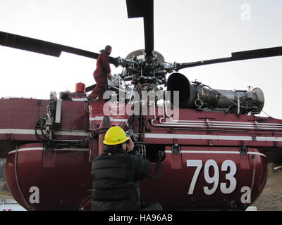 Questa immagine presenta un fotografo che cattura immagini ravvicinate della fauna selvatica, promuovendo l'apprezzamento dei piccoli dettagli della natura, specialmente nei parchi nazionali, dove la fotografia può contribuire agli sforzi di conservazione. Foto Stock