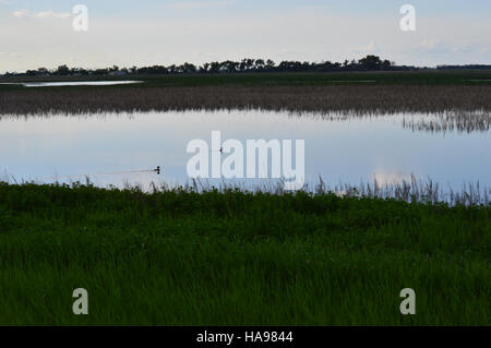 "Reflections on Sand Lake" è un'opera fotografica naturalistica scattata dall'US Fish and Wildlife Service, che cattura il paesaggio sereno e i riflessi nelle acque del lago Sand. L'immagine mette in evidenza la bellezza degli habitat naturali della fauna selvatica. Foto Stock