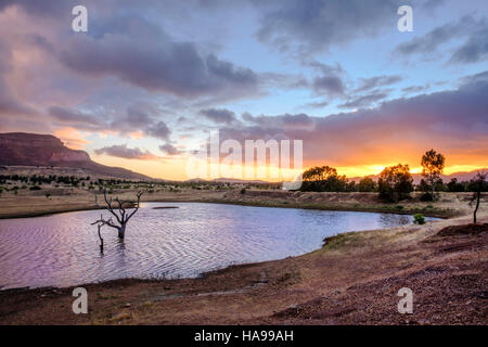 La splendida Rawnsley Park all'alba nella centrale Flinders Ranges in Outback Australia del Sud Foto Stock