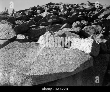 Il progetto murale di Ansel Adams, creato tra il 1941 e il 1942, cattura la grandezza dei parchi nazionali attraverso la fotografia. I murales, esposti nelle logge del parco nazionale, evidenziano i paesaggi del parco e promuovono la conservazione. Foto Stock