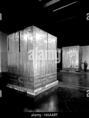 Questa immagine raffigura un progetto relativo all'energia all'interno di un parco nazionale, incentrato sull'integrazione di pratiche energetiche sostenibili per sostenere la conservazione ambientale e la gestione del parco. Foto Stock