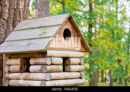 Birdhouse in legno in un bellissimo parco di autunno Foto Stock