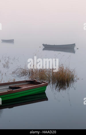 Barche da pesca sul loro ormeggi in una nebbiosa mattina hazelwood Sligo Irlanda Foto Stock