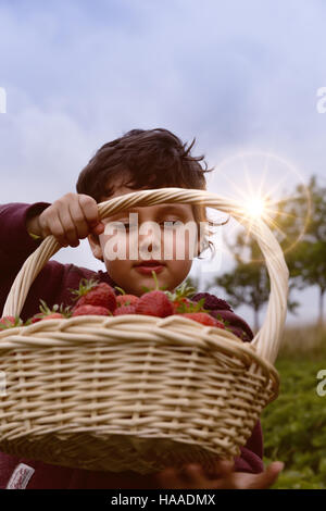 Little Boy divertirsi su Strawberry Farm. Carino bambino mangiare sano cibo organico, frutti di bosco freschi. Foto Stock