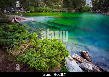 Lago Vert (Lago Verde). Vallée Etroite (Valle stretta). Alpi francesi. Europa. Foto Stock