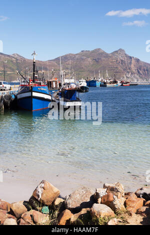 Attività di pesca i pescherecci con reti da traino ormeggiato a Hout Bay Harbor, Hout Bay, Città del Capo, Sud Africa Foto Stock