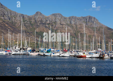 Barche a vela ormeggiata in Hout Bay Marina, Hout Bay, Città del Capo, Sud Africa Foto Stock