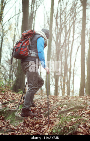L'uomo trekking nella foresta di autunno Foto Stock