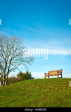 Vista autunnale della panca solita nel parco contro il cielo blu nella luminosa giornata di autunno Foto Stock