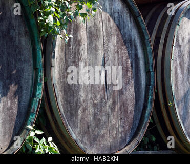 Vecchio vino botti in legno con alcune piante Foto Stock