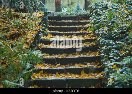 Scala di pietra ricoperta di foglie cadute, fiancheggiata da edera Foto Stock