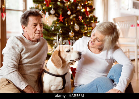 Coppia senior con il cane nella parte anteriore dell albero di Natale Foto Stock