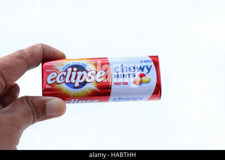 Un bambino mano azienda Australian Eclipse zecche fragrante Foto Stock