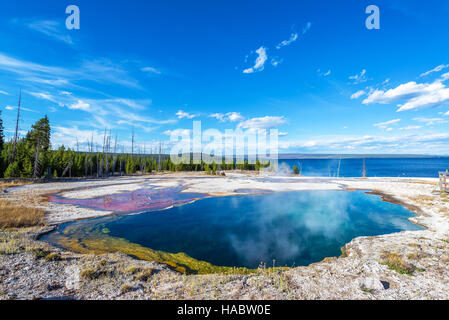 Ampio angolo di visione dell'Abisso piscina nel West Thumb Geyser Basin nel Parco Nazionale di Yellowstone Foto Stock