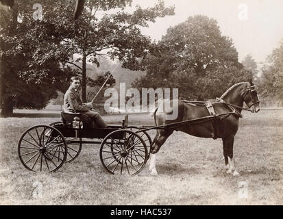 Archivio storico immagine dell uomo con pony e trappola a Ross-on-Wye, Herefordshire, Inghilterra c1900. Foto Stock