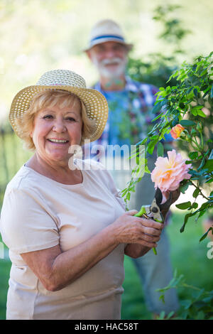 Senior donna fiore di taglio con forbici Foto Stock