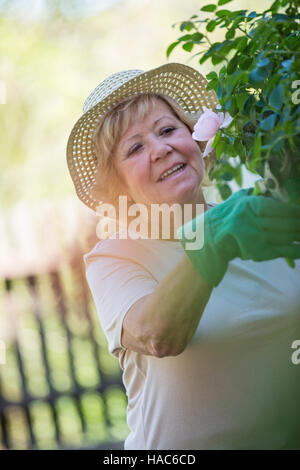 Senior donna piante di fresatura con forbici Foto Stock