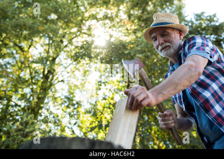 Uomo senior di legna da ardere di trinciatura Foto Stock