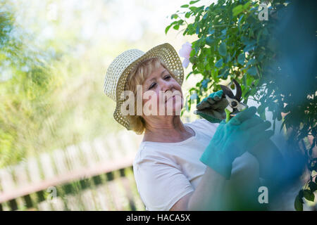 Senior donna piante di fresatura con forbici Foto Stock