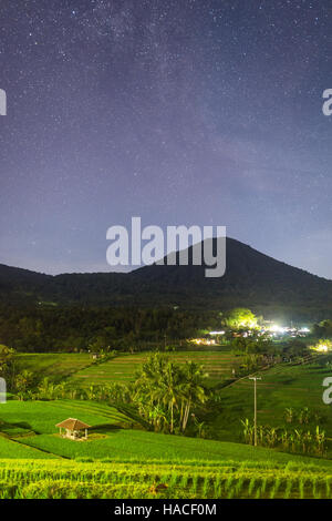 Notte cielo pieno di stelle sopra la Jatiluwih terrazze di riso a Bali, in Indonesia Foto Stock