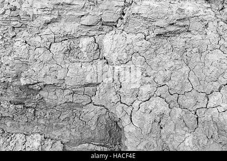 Asciutto e rotto nel campo della natura, dell'agricoltura Foto Stock