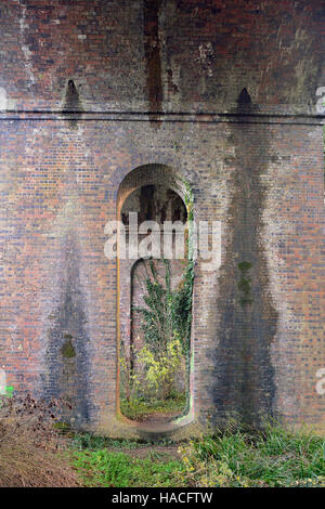 Sotto gli archi a Capel mulino del viadotto ferroviario sul fiume Frome & Thames & Severn Canal, Stroud, Gloucestershire Foto Stock