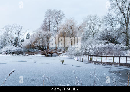 Strato sottile di appena scesa la neve sul lago ghiacciato di spire giardini comunali in un bel bianco paesaggio invernale paesaggio Foto Stock