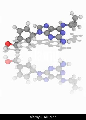 Abacavir. Il modello molecolare di inibitore della trascrittasi inversa farmaco abacavir (C14.H18.N6.O). Questo farmaco è usato nei trattamenti per HIV e AIDS. Gli atomi sono rappresentati da sfere e sono codificati a colori: carbonio (grigio), Idrogeno (bianco), Azoto (blu) e ossigeno (rosso). Illustrazione. Foto Stock