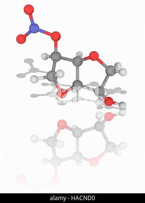 Isosorbide mononitrato. Il modello molecolare del nitrato-classe farmaco isosorbide mononitrato (C6.H9.N.O6), utilizzata per il trattamento di angina pectoris. Dilata i vasi sanguigni per ridurre la pressione del sangue. Gli atomi sono rappresentati da sfere e sono codificati a colori: carbonio (grigio), Idrogeno (bianco), Azoto (blu) e ossigeno (rosso). Illustrazione. Foto Stock