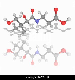 La vitamina B5. Il modello molecolare di acido pantotenico (C9.H17.N.O5), noto anche come vitamina B5. Questa vitamina è richiesto per la sintesi di una molecola chiamata-coenzima A, una parte chiave della biochimica cellulare. Gli atomi sono rappresentati da sfere e sono codificati a colori: carbonio (grigio), Idrogeno (bianco), Azoto (blu) e ossigeno (rosso). Illustrazione. Foto Stock