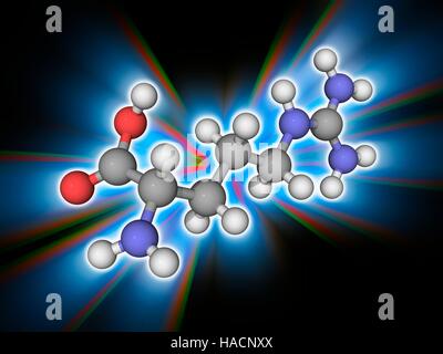 L'arginina. Il modello molecolare dell'amminoacido arginina (C6.H14.N4.O2). Strutturalmente un alfa amminoacido Arginina è un amminoacido non essenziale. Esso può essere sintetizzato dal corpo e così non necessitano di venire dalla dieta. Si trova in una grande varietà di cibi. Gli atomi sono rappresentati da sfere e sono codificati a colori: carbonio (grigio), Idrogeno (bianco), Azoto (blu) e ossigeno (rosso). Illustrazione. Foto Stock