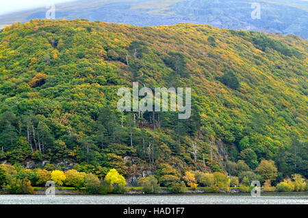 Llyn Padarn, Llanberis Foto Stock