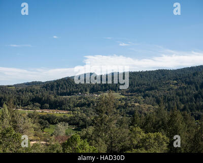 Appollaiato a 300 piedi sopra la città di Calistoga una delle principali aziende vinicole della Napa Valley, Sterling Vineyards, Calistoga, CA Foto Stock