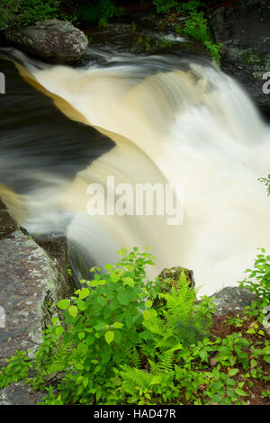 Cade in fabbrica, Delaware Water Gap National Recreation Area, Pennsylvania Foto Stock