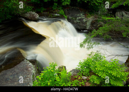 Cade in fabbrica, Delaware Water Gap National Recreation Area, Pennsylvania Foto Stock