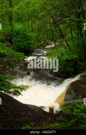 Cade in fabbrica, Delaware Water Gap National Recreation Area, Pennsylvania Foto Stock