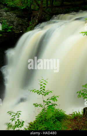 Cade in fabbrica, Delaware Water Gap National Recreation Area, Pennsylvania Foto Stock