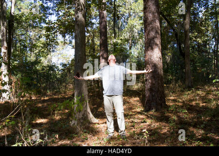 Uomo in piedi nella foresta azienda pigne mentre communing con la natura. Foto Stock