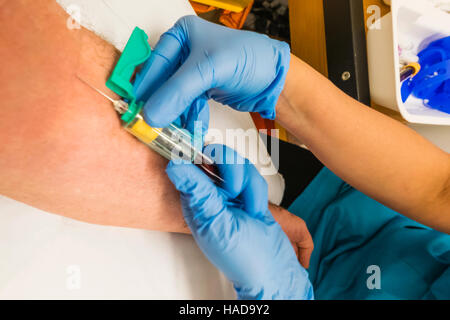 Inghilterra, Londra, Inghilterra Londra, sangue di prova Foto Stock