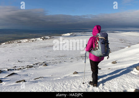 Walker godendo la vista ovest sopra la valle dell'Eden dall'altopiano di cima della Croce cadde in inverno, Pennines del nord, Cumbria Regno Unito Foto Stock