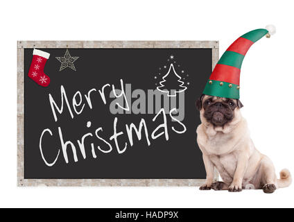 Carino pug cucciolo di cane che indossa un cappello di Elf, seduto accanto a lavagna segno con testo buon Natale, su sfondo bianco Foto Stock