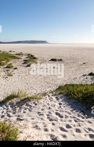 Spiaggia vuota a Noordhoek Beach, Cape Peninsula, Città del Capo Sud Africa Foto Stock