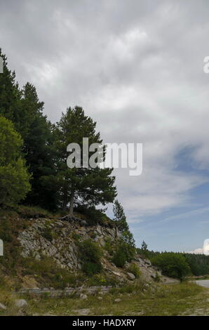 Verde bosco sulla collina rocciosa e la strada nei pressi di hija o rest-house Aleko in montagna Vitosha, Bulgaria Foto Stock