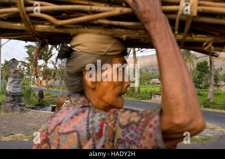 Una vecchia donna raccoglie legna da ardere lungo la strada che conduce al villaggio di pescatori di Amed a est di Bali. Amed è una lunga striscia costiera di villaggi di pescatori in EA Foto Stock