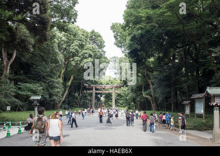 I visitatori in Meiji Jingu complesso in Tokyo, Giappone Foto Stock